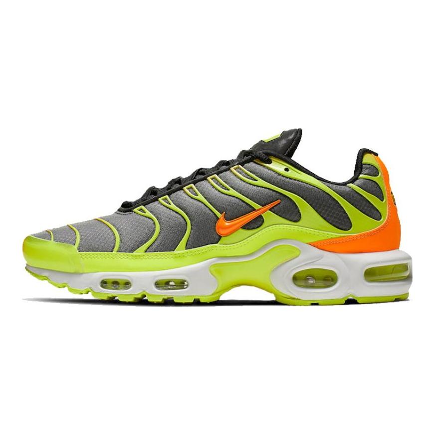 Nike Кроссовки Air Max Plus 'Color Flip' Повседневная обувь CI5924-061