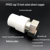 PPR Water Heater Union Pre-Filter Connector: 25 To 1 Inch, 4-6 Points, 32 Straight Elbow, Copper Water Pipe Fittings