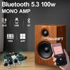 ZK-1001U Моно Bluetooth плата усилителя, 100 Вт, USB/AUX/Bluetooth, DC9-24В