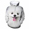 Autumn Animal Cute Dog 3D Print Hoodies Men Women Fashion Casual Sweatshirts Oversized Hoodie Pullovers Tracksuit Clothing