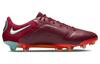 Nike Legend 9 Elite Fg Командный красный Мистический гибискус CZ8482-616