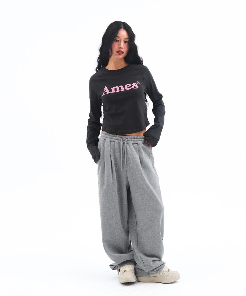 AMES-WORLDWIDE Базовые серые спортивные штаны с маленьким логотипом