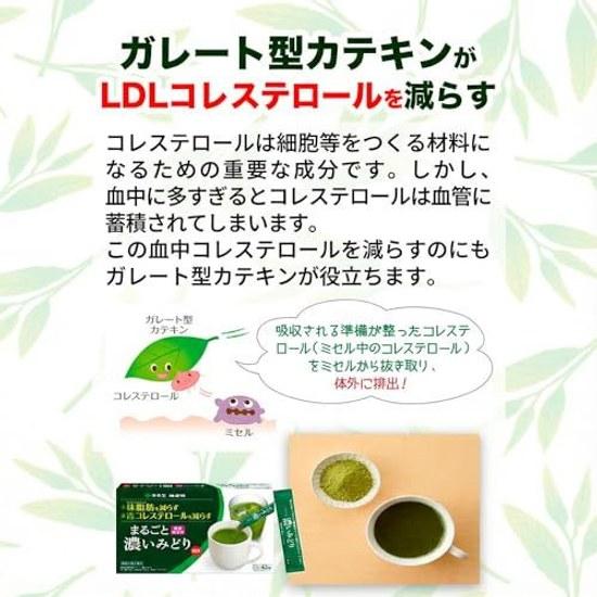 Functional Food - Itoen Kenkoutai Official Online Store Marugoto Koi Midori Powder Stick 62 Sticks per Box Domestic Tea Leaves Catechin Instant Green