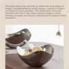 INS Salad Fruit Plate Triangular Table Plate Creative Petals Serving Bowl  Home Decor