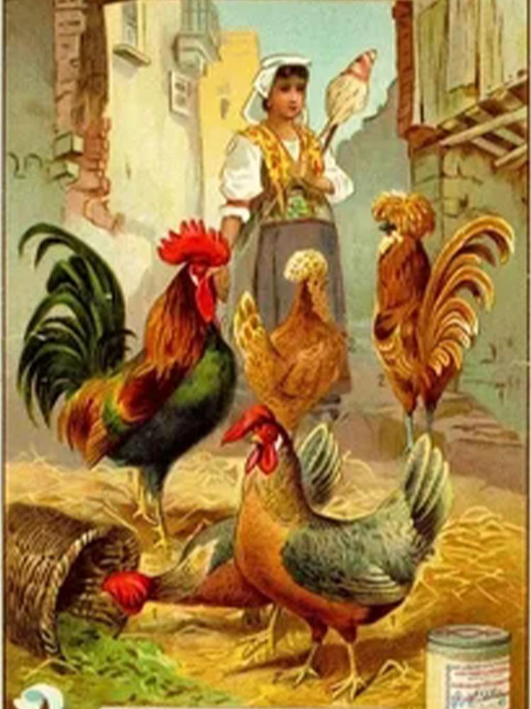 Алмазная картина курица полный круг квадрат 5DDIY алмазная вышивка животное крест вышивка набор мозаичное искусство украшение дома