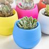 PP Succulent Box Round Plant Pot Durable Flower Pot Home Office Decor
