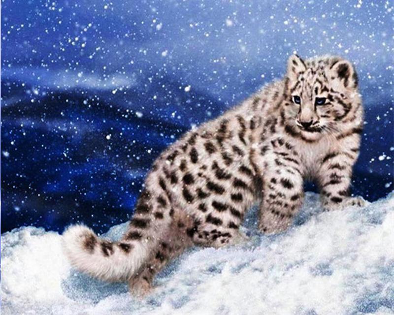 Алмазная картина кофе цветок пейзаж Приморский 5D DIY Алмазная вышивка распродажа тигр животное вышивка крестом стразы мозаика подарок ручной работы