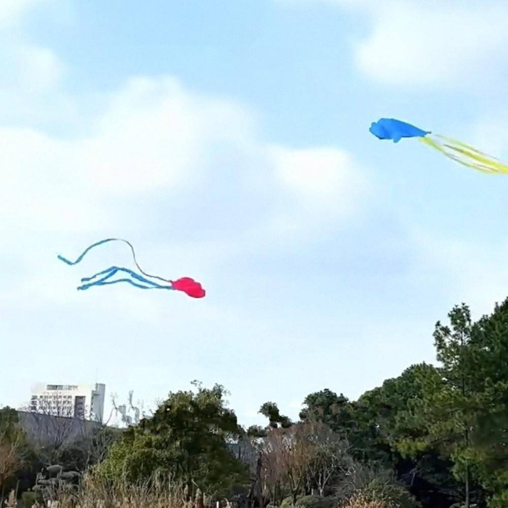 Good Flying Octopus Kite Easy to Fly Children's Pocket Kite Durable 3D Soft Kite  Beach Garden