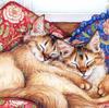 5d Diy Cat Мультфильм Broderies Diamants Подарок Животное Алмазная Мозаика Картина Полная Алмазная Вышивка