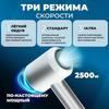 Фен для волос Feng Professional 5B1 с ионизацией и насадками