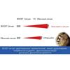 BOOST 168 Car Air Horn  Compressor 12V Signal Super Double Volume Sound Perfect Dual Waterproof
