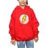 DC Comics Girls Flash Distressed Logo Hoodie