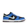 Dunk Low SE GS Black Light Photo Blue Mint Foam Kids Sneakers Active-Pink DR0165-001