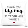 Hug This Pillow Until You Can Hug Me Pillow Covers 18x18, Cute Penguin Gifts, I Love You Gifts for Daughters Sons Kids from Dad Mom Parents,