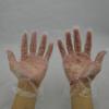 300pcs Disposable Glove Plastic Clear Glove Food Preparation Safety for Restaurant Kitchen Cooking BBQ