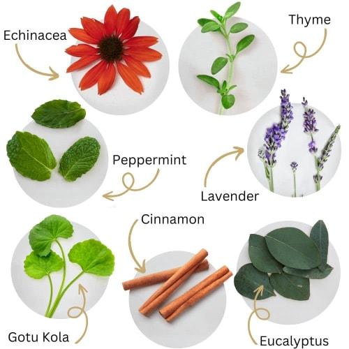 Dental Herb Company Tooth and Gums Tonic 18oz Bottle by Dental Herb Company