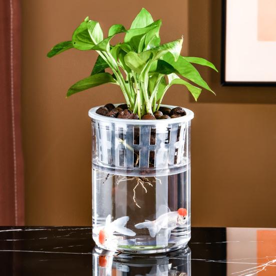 Аквапонный аквариум для рыбок петушков Прозрачный пластиковый ударопрочный горшок Экосистема Аквариум Настольная аквапонная система для домика рыбок петушков Комнатные растения