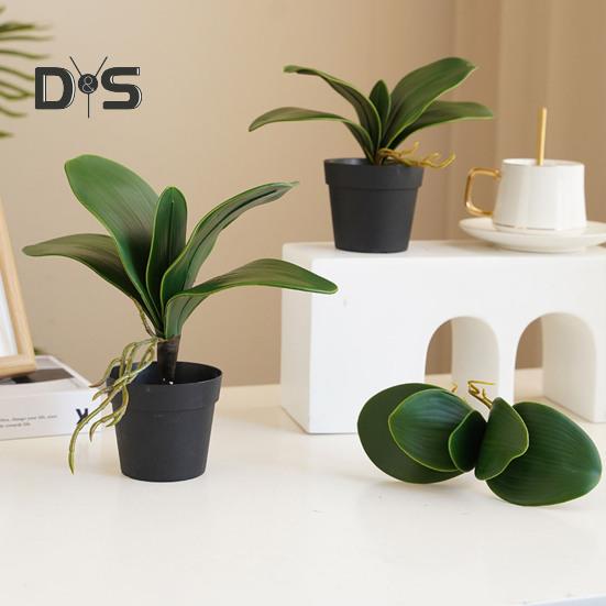 Прозрачная текстура, искусственное растение без полива, яркие поддельные листья орхидеи фаленопсис