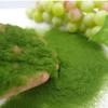 Material Garden Artificial Moss DIY Accessories Micro Landscape Decoration Artificial Grass Powder