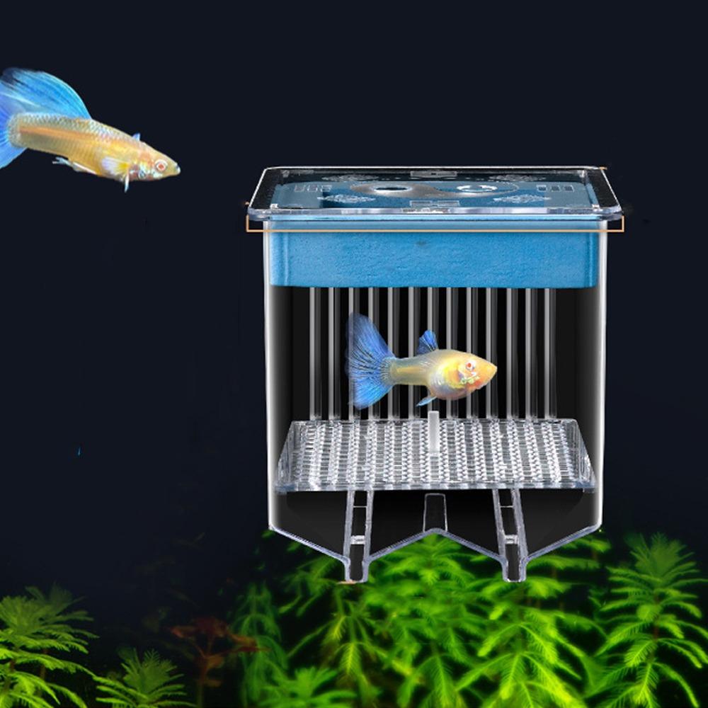 Permeable Floating Hatching Box Transparent Fish Tank Divider Mother Fish Incubator  For Small Fish