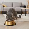 Stainless Steel Pet Feeding Bowl Gold Plated Cat Food Dish Anti-fall Dog Food Basin  for Feeding