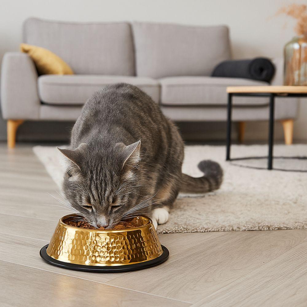 Stainless Steel Pet Feeding Bowl Gold Plated Cat Food Dish Anti-fall Dog Food Basin for Feeding