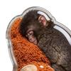 Пароварка из нержавеющей стали на 4 персоны, кастрюля для тушения, каши, супа, совместима с индукционными плитами, термостойкая, для варки яиц вкрутую