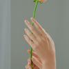Press & Go ASAP French Bouquet_KKPA06K