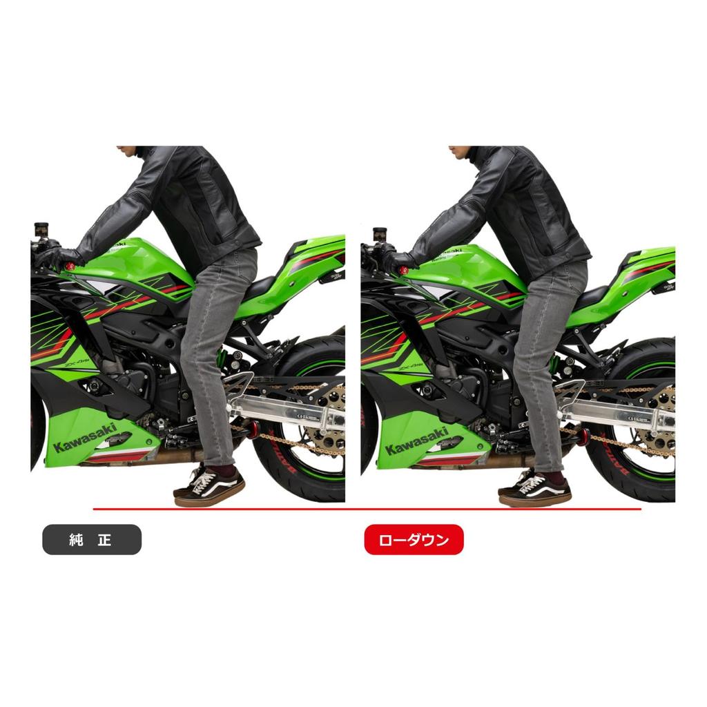 EFFEX Низкий комплект вниз 20 мм SE PHA795D ZX-4RR/ZX-4R