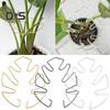 Plant Stem Support Metal Monstera Clamp Plant Support Plant Stem Holder Monstera Stabilizer Grapple Holder for Climbing Plants