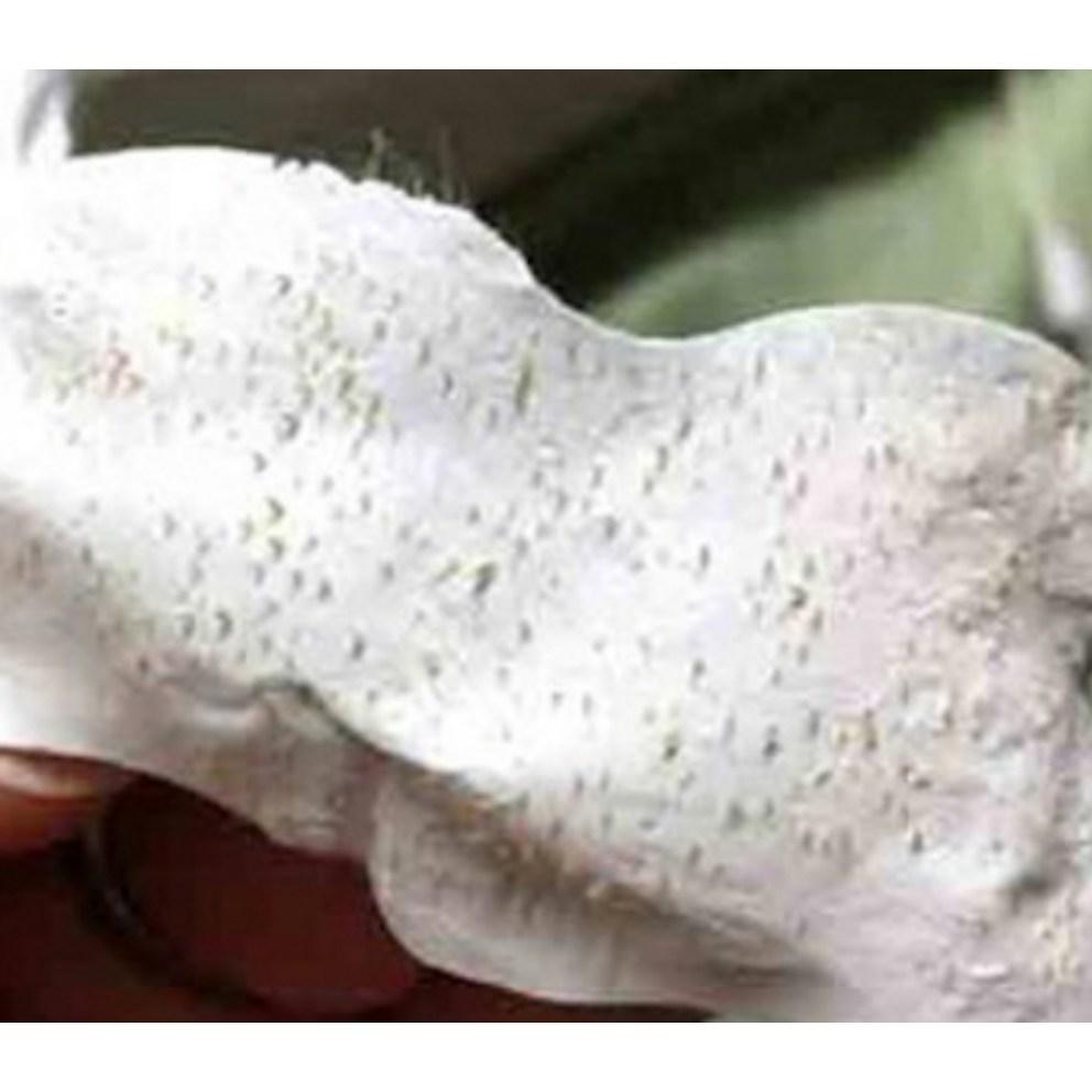 Mefactory Набор для очищения пор "Свиное рыльце" 3 шага (10 листов x 1 упаковка)