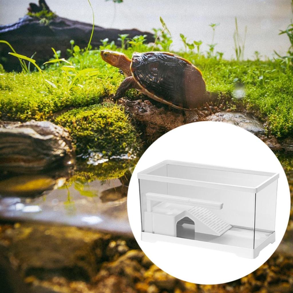 Reptile Tank Habitat Hideaway Kit for Pet Turtles And Tortoises
