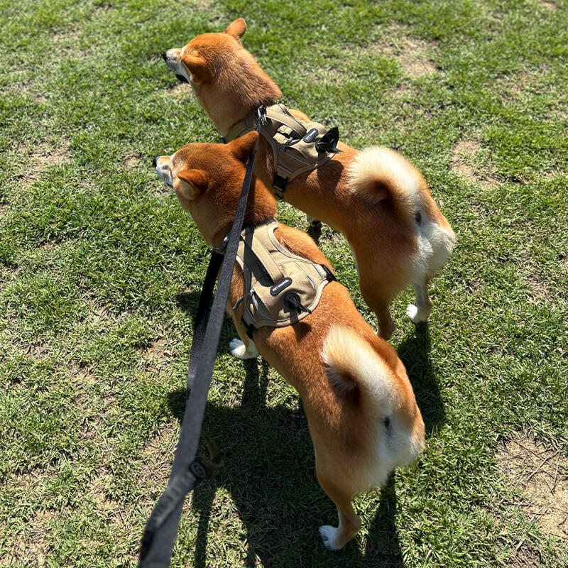 Шлейка с одним карманом для крупных собак (Коричневый XL)