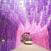 12 Pcs Artificial Wisteria Flowers UV Resistant Faux Wisteria Flowers Hanging Fake Flowers Vine for Patio Party Backdrop Home Indoor Decorations