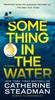 Книга Something In the Water : A Novel