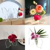 Clear Acrylic Butterfly Frame Vases Decorative Flower Arrangement Container for Living Room Bedroom Tabletop Decoration