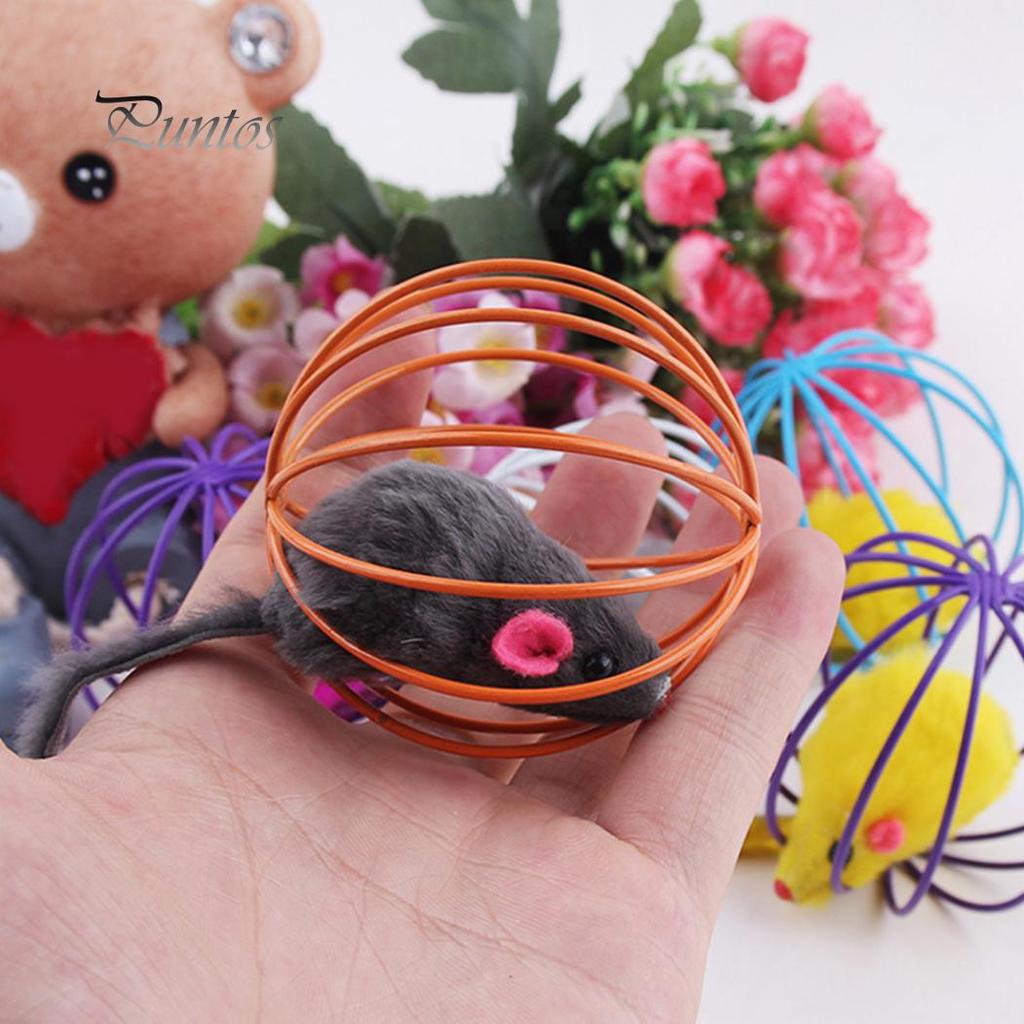 Mouse Rat In Cage Ball Pet Play Playing Catch Toy
