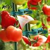 Professional Plant Clamps 20Pcs Support Clips, Plastic Gentle Clamps, Climbing Flower Supports Tomato Cage Clips for Vines, Flowers Stems Vegetable