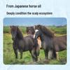 Kumano Cosmetics Horse Oil Shampoo