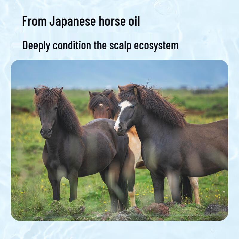 Kumano Cosmetics Horse Oil Shampoo