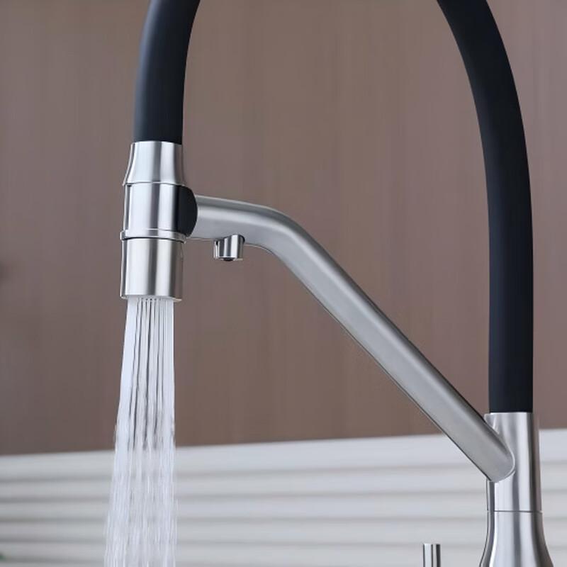 TLXT 3-in-1 Brushed Stainless Steel Wall-Mounted Kitchen Faucet