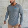 Muscleguys Fitness Sports Thin Long Sleeved T-shirt Men's Spring and Autumn Clothes Breathable Running  Top