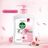 Dettol Moisturizing Hand Wash Set