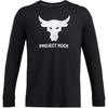 Project Rock Graphic Print Training Long Sleeve T-Shirt Men Tops Black 1374847-003