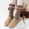 Y2K Lolita Bowknot Boots Cover Lace Women's Leg Warmers Fashion Mid-tube Socks  Girl