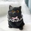 Новинка Кукла-большой кот с медленным возвратом Игрушка-сквиш Животное Цветные Симуляция кошки Игрушки-сквиши Мягкая Мини-кошка Игрушка-фиджет Офис