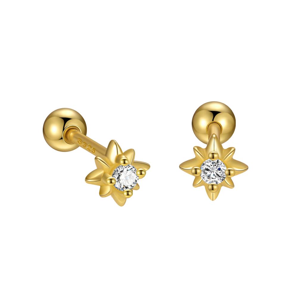 925 Sterling Silver Inlaid Zircon Star Screw Earrings for Women Fashionable Simple Temperament Silver Jewelry