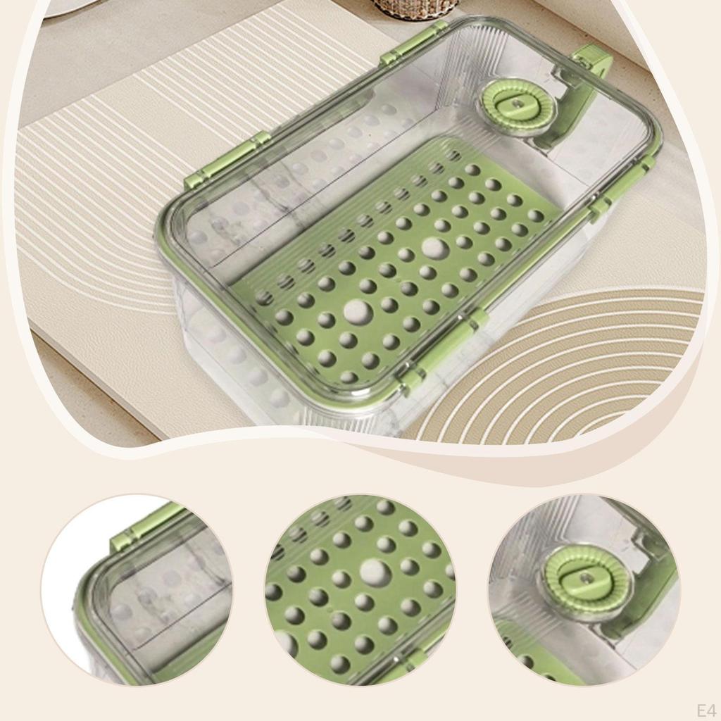 Fridge Storage Box with Drainage Locked Organizer Fresh Keeping Container for Dorm Restaurant