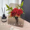 Instagram-Style Po Frame Vase Simple Transparent Acrylic For Hydroponic Flower Arrangement Entryway Vase Living Room Ornament