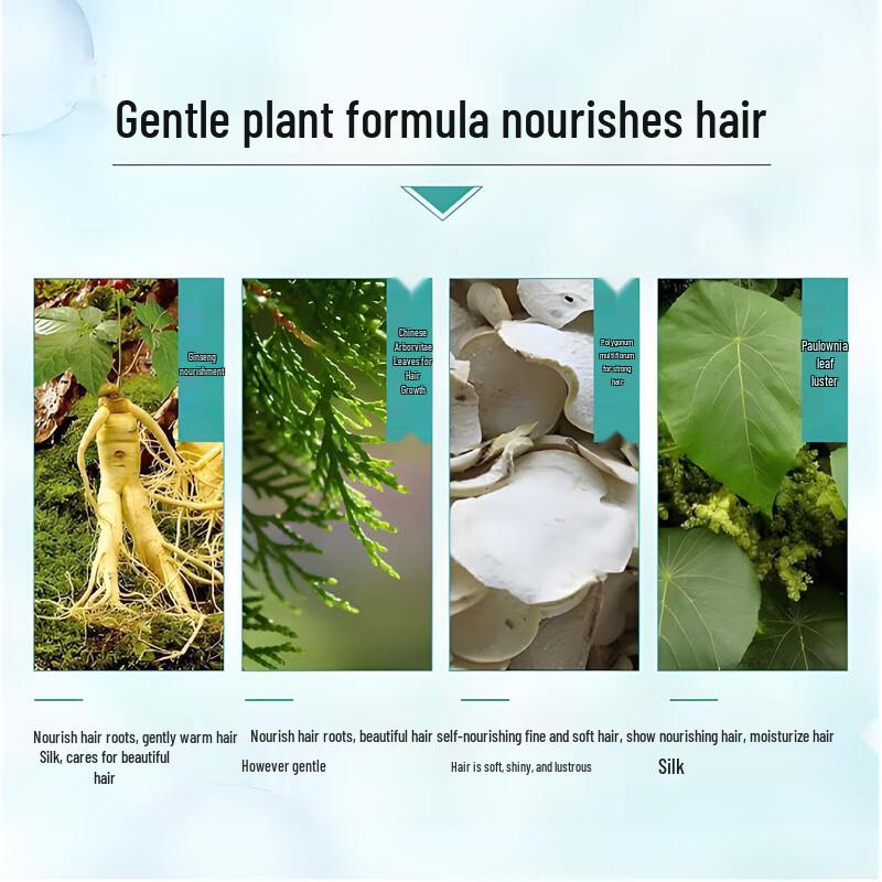 Ba Wang Anti-Hair Loss & Hair Growth Shampoo